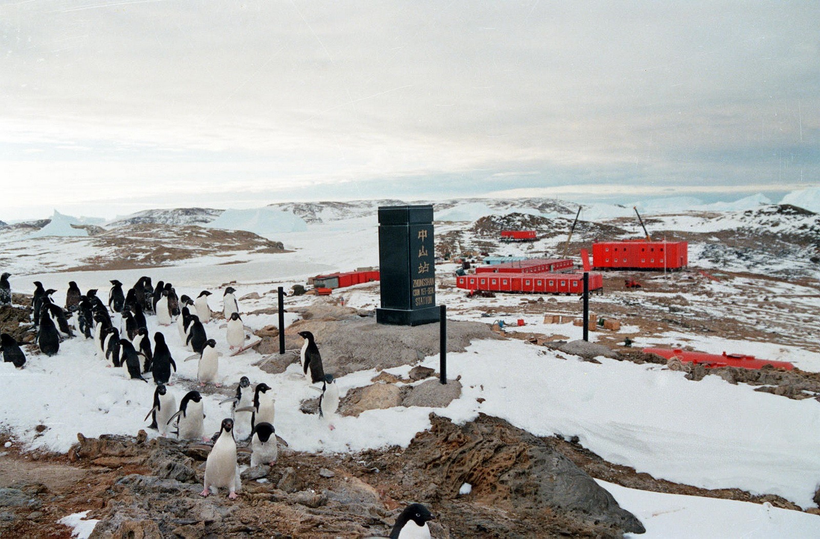 壁纸 南极冰山，海岸，企鹅，雾 2560x1600 HD 高清壁纸, 图片, 照片